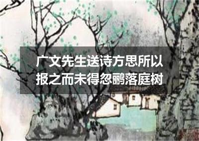 《广文先生送诗方思所以报之而未得忽鹂落庭树》
